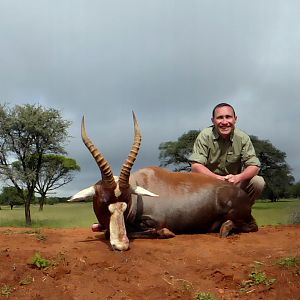 Hunting Blesbok South Africa