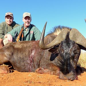 Hunt Black Wildebeest South Africa