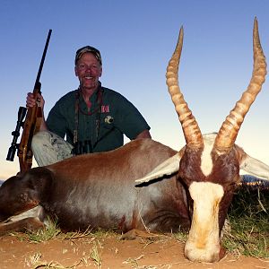 Hunting Blesbok South Africa