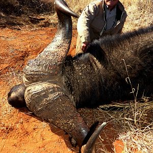 Hunting Buffalo South Africa