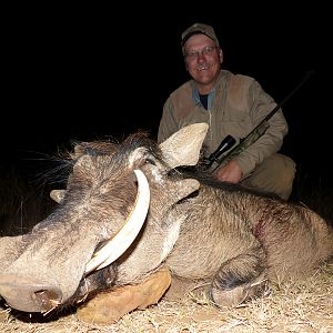 South Africa Warthog Hunt