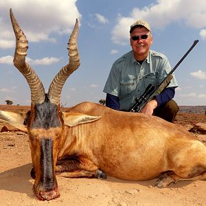 Red Hartebeest Hunt South Africa