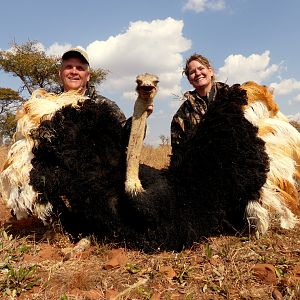 South Africa Ostrich Hunt