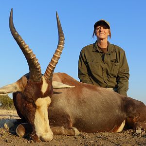 Hunting Blesbok South Africa