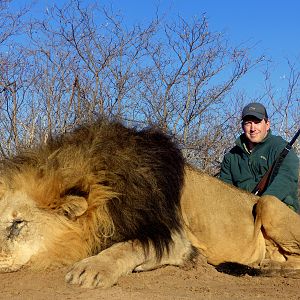 Hunting Lion in South Africa