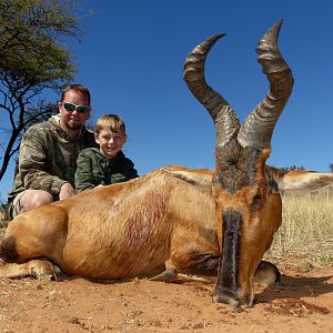 Red Hartebeest Hunt South Africa