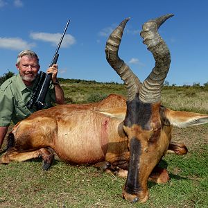 Red Hartebeest Hunt South Africa