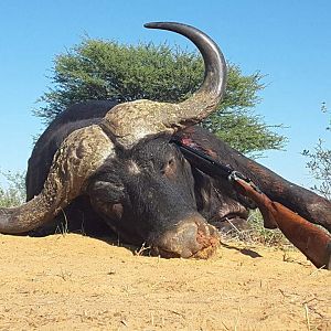 Hunting Buffalo South Africa