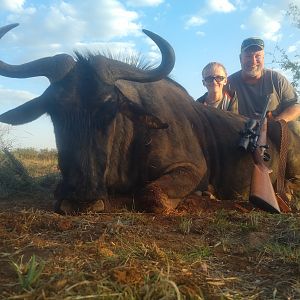 South Africa Blue Wildebeest Hunting