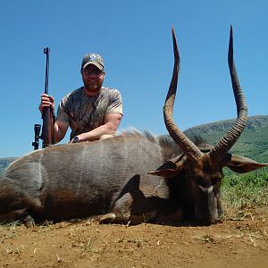 Nyala Hunt South Africa