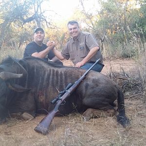 South Africa Blue Wildebeest Hunting