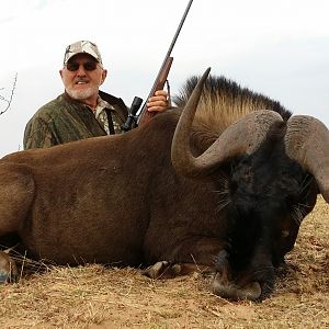 Hunt Black Wildebeest South Africa