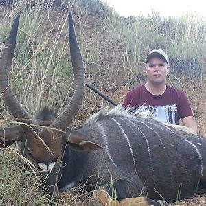 Nyala Hunt South Africa