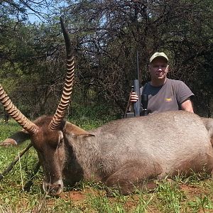 Waterbuck South Africa Hunt