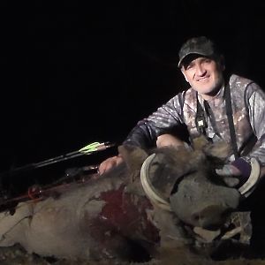 South Africa Warthog Bow Hunt