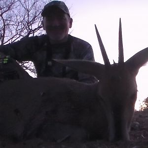 Duiker Bow Hunting South Africa