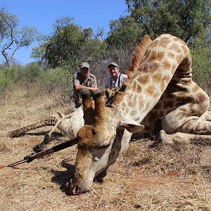 South Africa Giraffe Bow Hunting