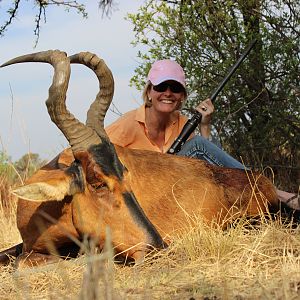 Red Hartebeest Hunt South Africa