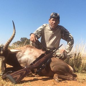 Hunting Blesbok South Africa