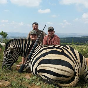 Hunt Zebra in South Africa