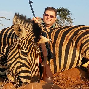 Hunt Zebra in South Africa