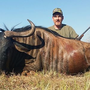 South Africa Blue Wildebeest Hunting