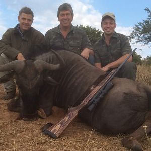 South Africa Blue Wildebeest Hunting