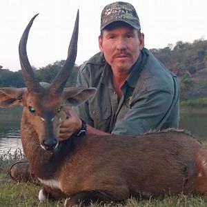 Bushbuck  Hunting South Africa