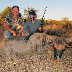 South Africa Blue Wildebeest Hunting