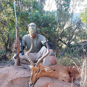 Hunting Impala South Africa