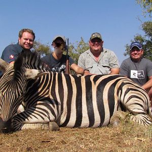 Hunt Zebra in South Africa