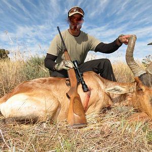 Red Hartebeest Hunt South Africa