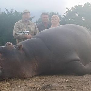 Hippo Hunt In South AFrica