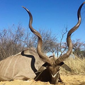 South Africa Kudu Hunting