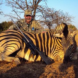 Hunt Zebra in South Africa