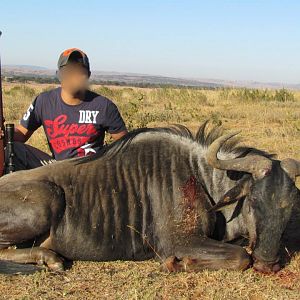 South Africa Blue Wildebeest Hunting