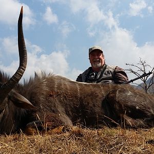 Nyala Hunt South Africa