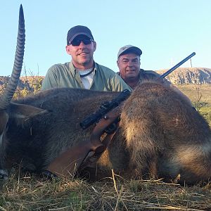 Waterbuck South Africa Hunt