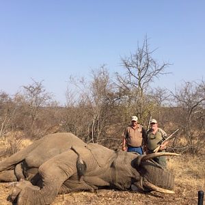 South Africa Hunting Elephant