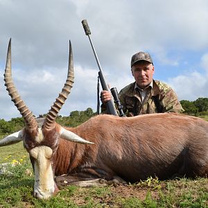 Hunting Blesbok South Africa