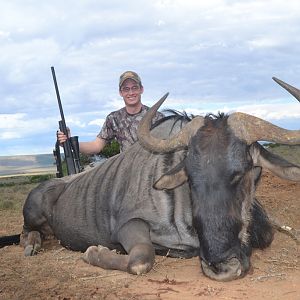 South Africa Blue Wildebeest Hunting