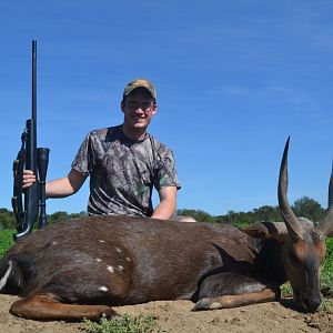 Bushbuck  Hunting South Africa