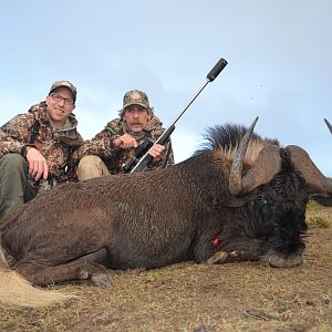 Hunt Black Wildebeest South Africa