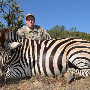 Hunt Zebra in South Africa