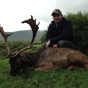 South Africa Hunting Fallow Deer