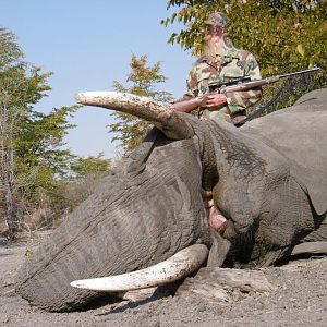 Namibia Hunting Elephant