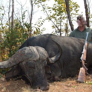 Hunting Buffalo in Namibia