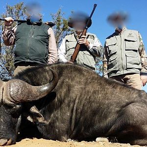 Hunting Buffalo in Namibia