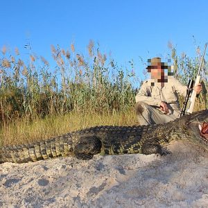 Hunt Crocodile