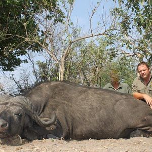 Hunting Buffalo Namibia